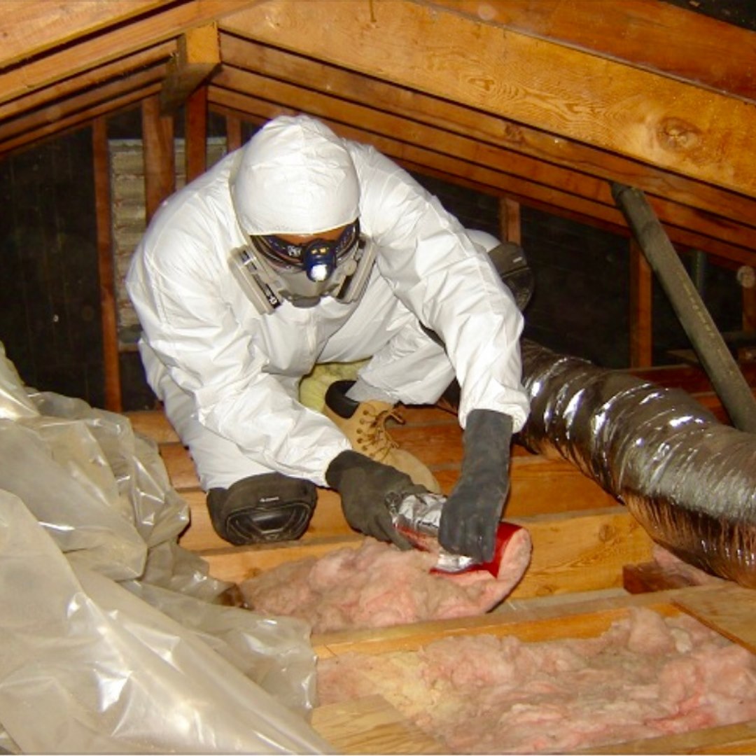 Technician in PPE cleaning and treating an attic after rodent activity