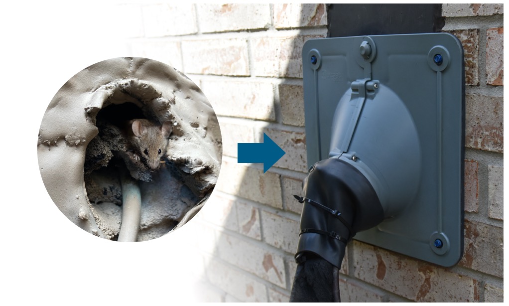 Sealed wall penetration that blocked mice from entering through a utility line